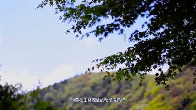 大手笔!国足新帅看中48岁厄瓜多尔主教练:带队近5场不败!