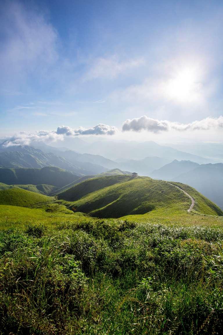 拯救红松鼠