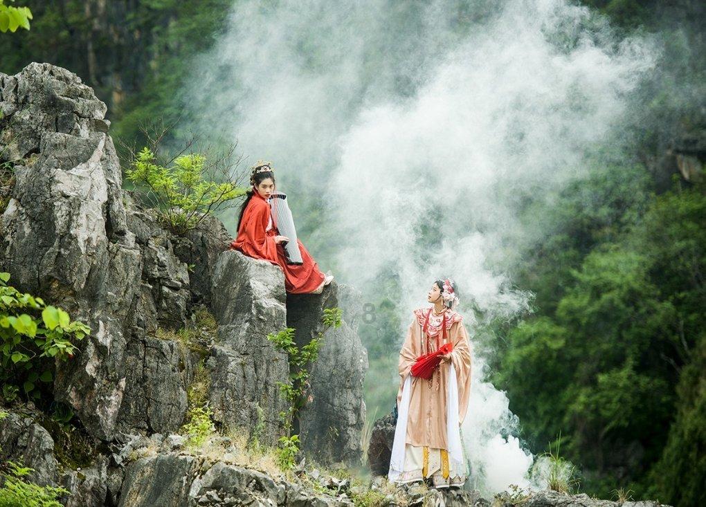 解救野生狐狸